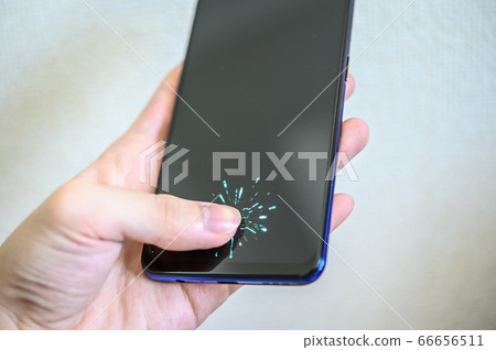 In-screen fingerprint authentication 66656511