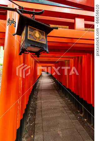 Senbon Torii of Fushimi Inari Taisha Shrine 66656610