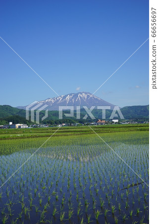 Paddy is a water mirror that reflects Mt. Iwate 66656697