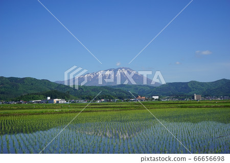 Paddy is a water mirror that reflects Mt. Iwate 66656698