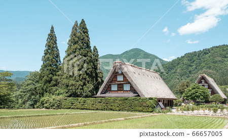 Early summer Shirakawa-go (daytime) Early summer Shirakawa-go (daytime) 66657005