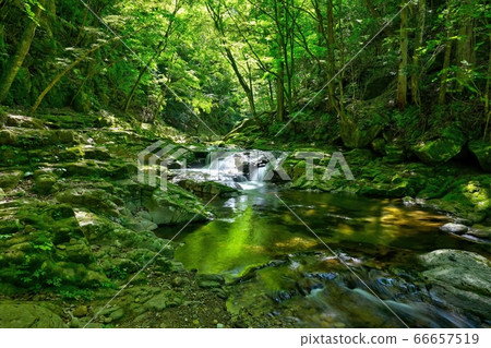 Scenery of the sister waterfall of fresh green shining in the sunlight Scenery of the sister waterfall of fresh green shining in the sunlight 66657519
