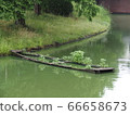 Abandoned ship in the river 66658673