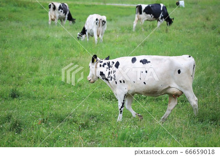 A landscape of a ranch A landscape of a ranch 66659018