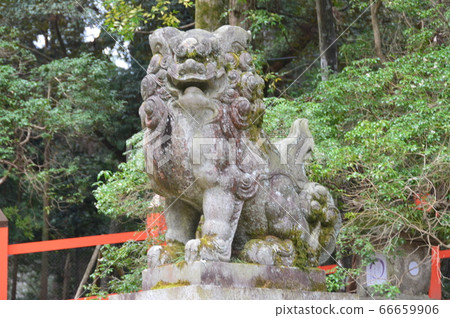 Stone statue of a guardian dog (Agata statue) (Kasuga Taisha Shrine / Kasugano Town, Nara City, Nara Prefecture) Stone statue of a guardian dog (Agata statue) (Kasuga Taisha Shrine / Kasugano Town, Nara City, Nara Prefecture) 66659906