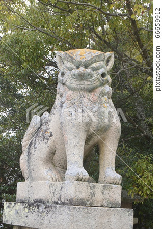Komainu雕像(Kumagata雕像)(愛媛縣今治市近江町Oyama神社/ Miyaura) Komainu雕像(Kumagata雕像)(愛媛縣今治市近江町Oyama神社/ Miyaura) 66659912