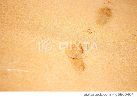 Footprints from children's feet in the clear sea sand Footprints from children's feet in the clear sea sand 66660404