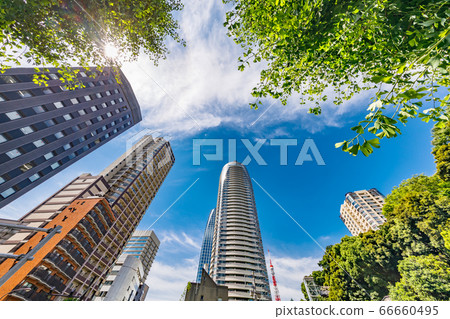 Buildings in Tokyo with beautiful fresh green Buildings in Tokyo with beautiful fresh green 66660495