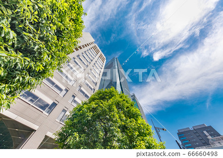 美麗清新的綠色東京建築 美麗清新的綠色東京建築 66660498