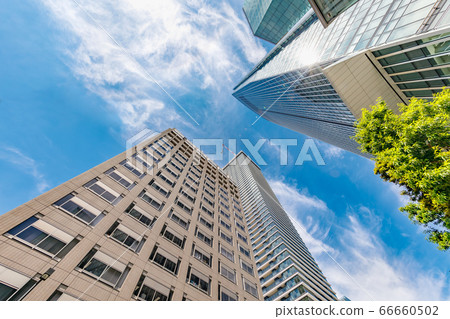 Buildings in Tokyo with beautiful fresh green 66660502