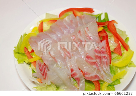 Carpaccio 66661252
