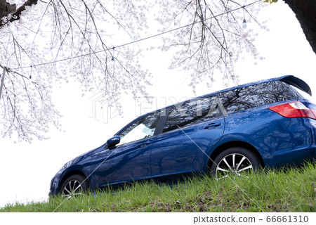 汽車和一排櫻桃樹 汽車和一排櫻桃樹 66661310