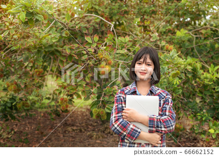 Asian woman checking report organic fruit Asian woman checking report organic fruit 66662152