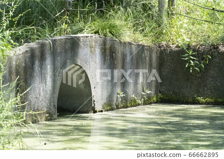東京杉並區善福寺公園水道入口 66662895