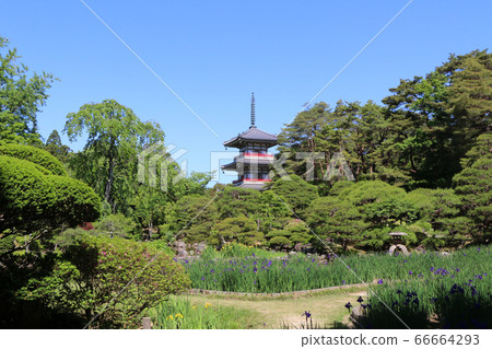 Sendai City, Rinnoji Gardens and Triple Pagoda 66664293