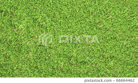 Overhead aerial view of a perfect green grass lawn 66664462