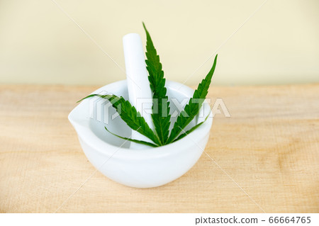 Hemp leaves, Alternative Medicine, Herbal Treatment concept 66664765
