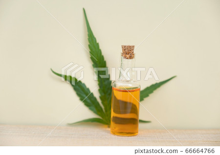 Hemp leaves and CBD oil. Alternative Medicine, Herbal Treatment concept 66664766