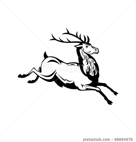 Red Deer Stag Running and Jumping Side View Retro 66664876