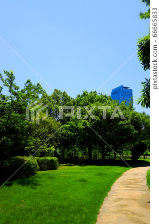 Landscape of Noritake forest in Nishi-ku, Nagoya, fresh green and green [June] 66665833