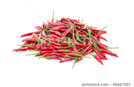 red chilli isolated on white background 66667001