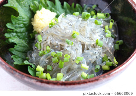 Asatori raw shirasu 66668069