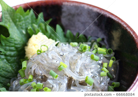 Asatori生的shirasu 66668084