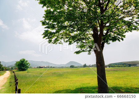Ganghwa Dolmen park UNESCO World Heritage Site in Incheon, Korea Ganghwa Dolmen park UNESCO World Heritage Site in Incheon, Korea 66668150