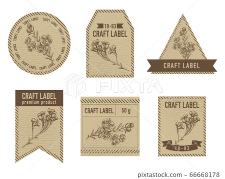 Craft labels vintage design with illustration of wax flower 66668178