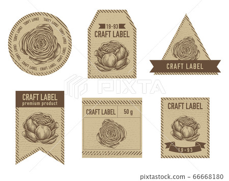 Craft labels vintage design with illustration of ranunculus 66668180