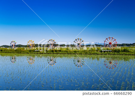 Kurikoma mountain with rice paddy, water wheel and remaining snow pieces 66668290