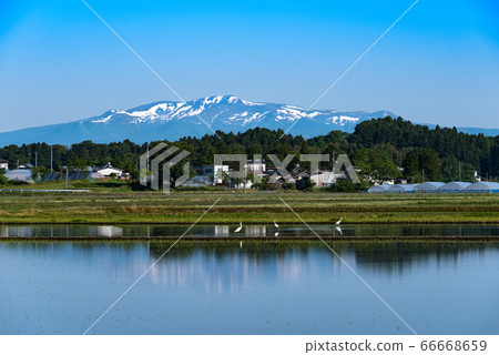 Kurikoma,水田,稻田和積雪殘片 Kurikoma,水田,稻田和積雪殘片 66668659