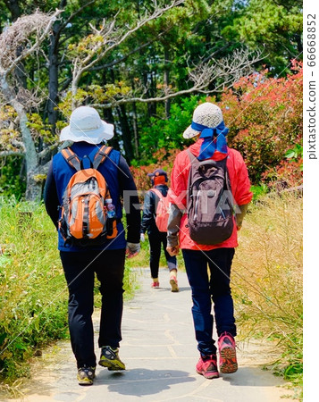 Travelers trekking on Jeju Ollegil Travelers trekking on Jeju Ollegil 66668852