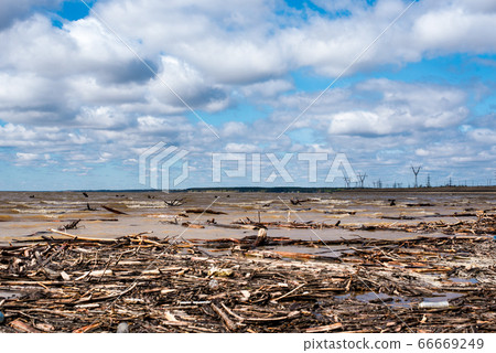 The coastline of the lake. Downed logs are visible in the foreground. 66669249