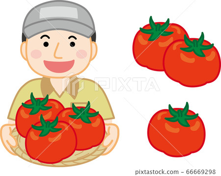 Tomato producer Tomato producer 66669298