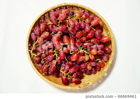 Red grape 66669461