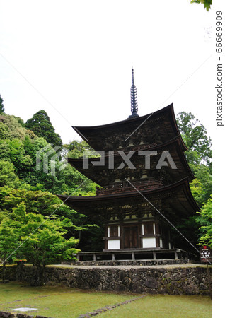 Misan Saigyoji主教 66669909