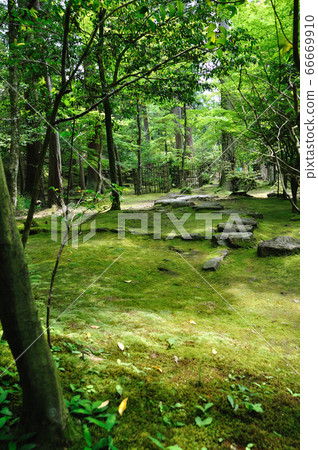 Bishop Misan Saigyoji 66669910