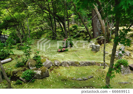 Misan Saigyoji主教 66669911