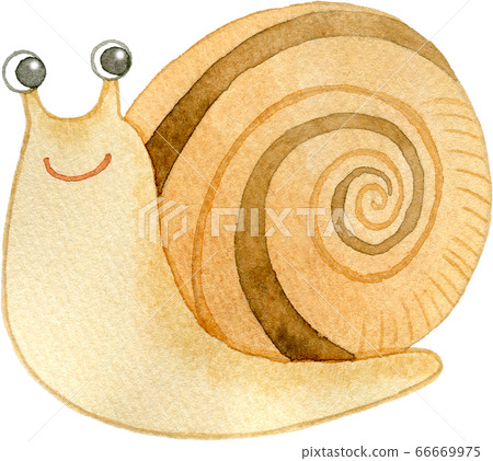 Watercolor illustration of a cute smiling snail 66669975