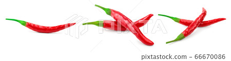 red hot chili peppers isolated on white background. Set or collection 66670086