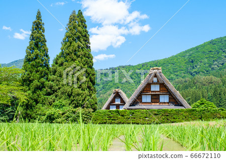 Early summer Shirakawa-go (daytime) 66672110