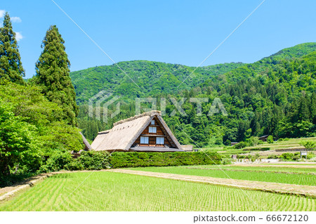 Early summer Shirakawa-go (daytime) 66672120