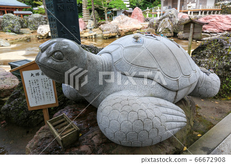 Kochi Prefecture Kongofuku-ji 38th Reit place Daishi Kame Kochi Prefecture Kongofuku-ji 38th Reit place Daishi Kame 66672908