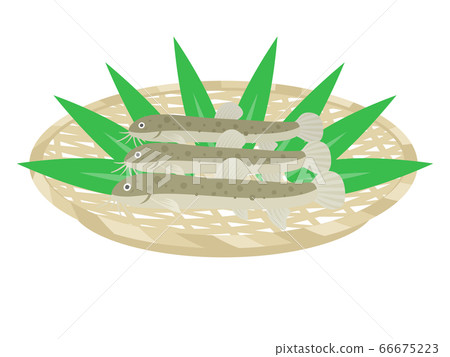 泥ach上漏勺的插圖 66675223