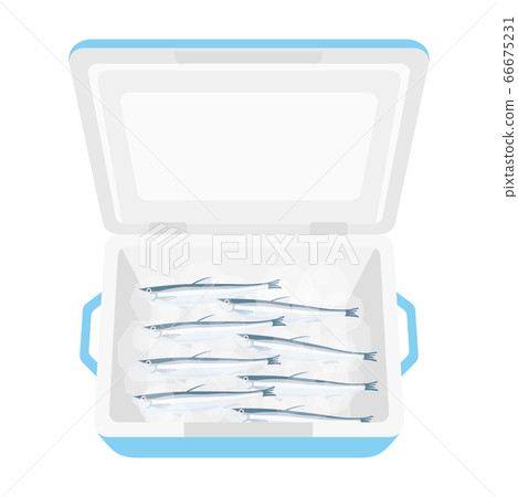 Illustration of shishamo in the cooler box Illustration of shishamo in the cooler box 66675231