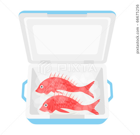 鯛魚在冷藏箱裡的插圖 鯛魚在冷藏箱裡的插圖 66675256
