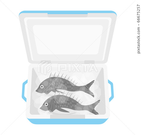 鯛魚在冷藏箱裡的插圖 鯛魚在冷藏箱裡的插圖 66675257