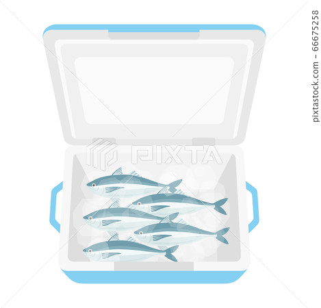 竹莢魚在冷卻器框中的插圖 竹莢魚在冷卻器框中的插圖 66675258