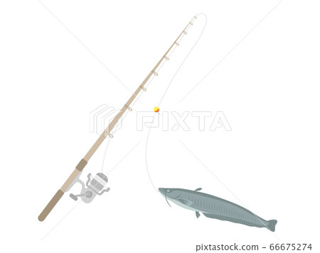 Illustration of fishing rod and catfish Illustration of fishing rod and catfish 66675274
